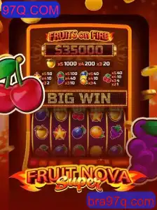 Descubra o Fascinante Mundo de FruitNovaSuper